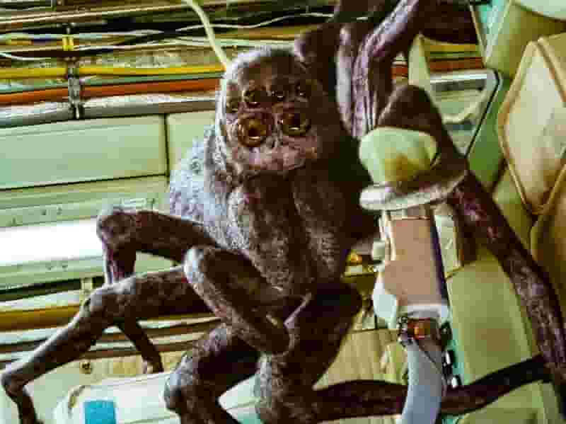 Spaceman Movie's Spider Explained: The True Meaning of the Character Revealed