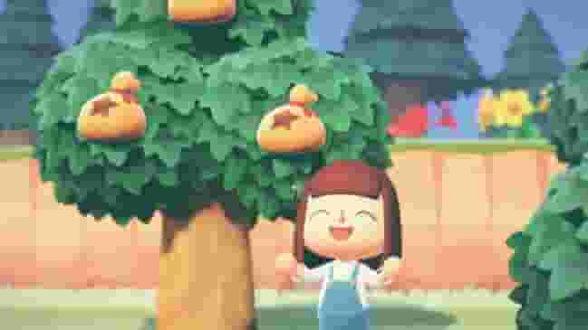 How to make millions from Animal Crossing money trees with time travel