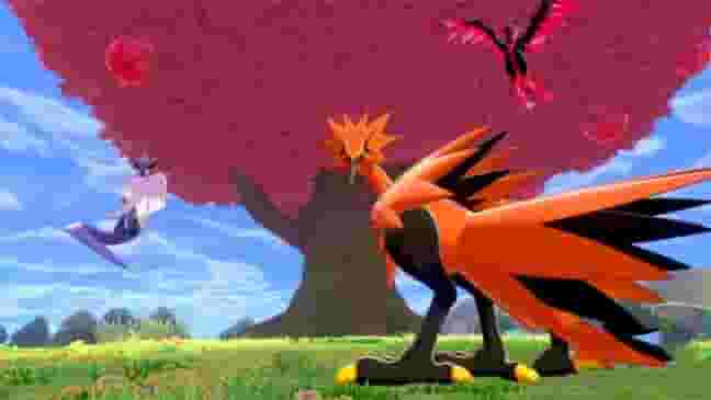 15 best Fighting-type Pokemon ranked: Zamazenta, Mewtwo X, Koraidon, & more