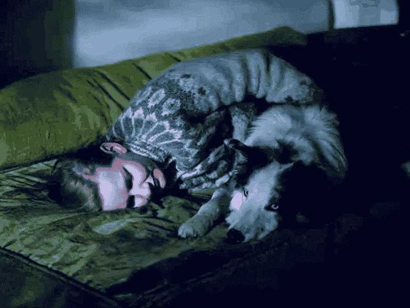 Anatomy of a Fall Director Confirms What We All Suspected About the Cryptic Ending