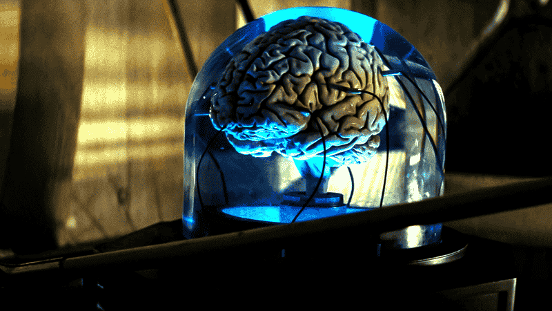 What's In Vault 31 In Fallout TV Show? Secret Experiment Revealed