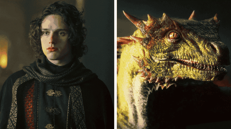 House of the Dragon Family Tree Explained: Which Targaryens Have Dragons and Which Don't?