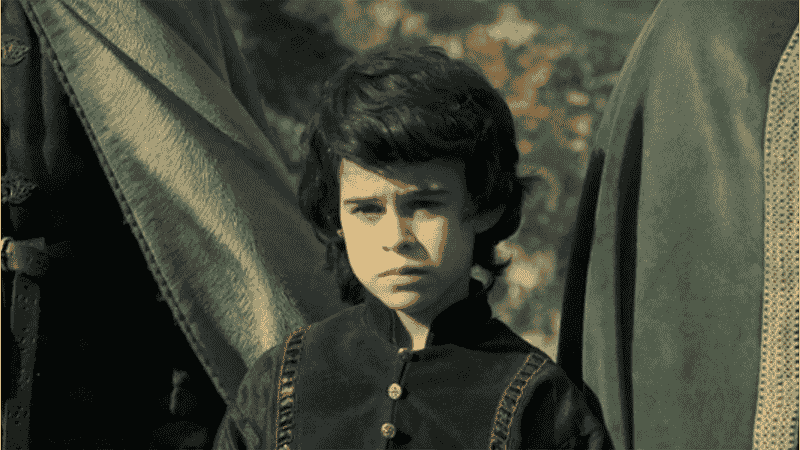 House of the Dragon Family Tree Explained: Which Targaryens Have Dragons and Which Don't?