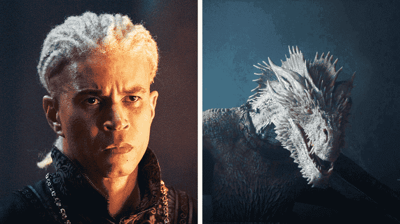 House of the Dragon Family Tree Explained: Which Targaryens Have Dragons and Which Don't?