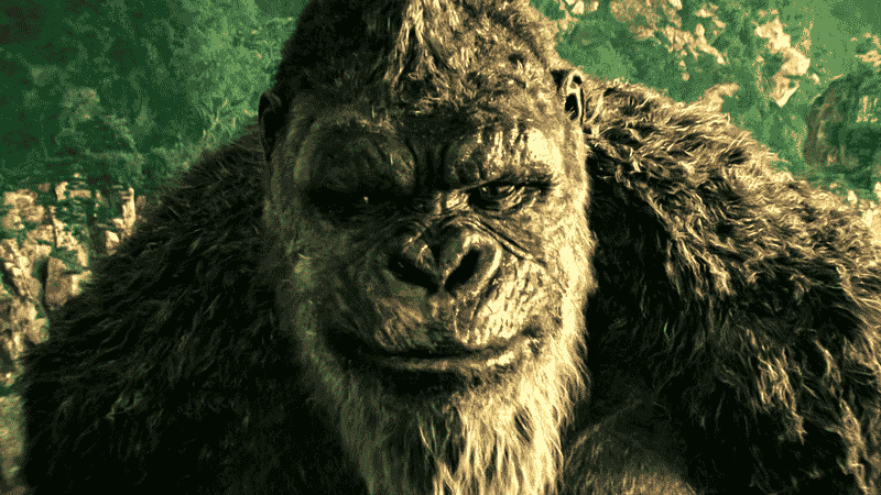 When Will Godzilla X Kong: The New Empire Start Streaming? Max Reveals June 2024 Release Schedule Without Movie