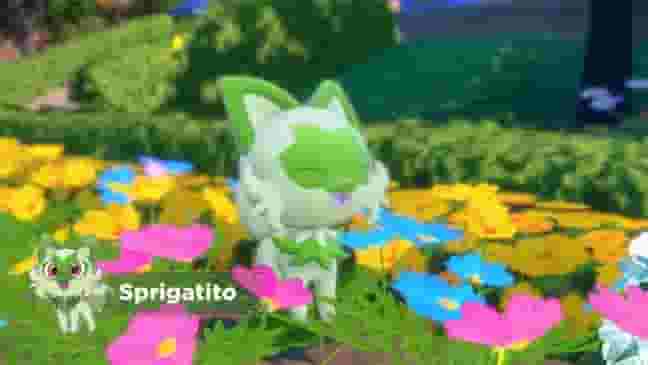 How to get all starters in Pokemon Scarlet & Violet: Quaxly, Fuecoco & Sprigatito