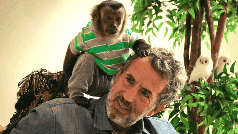 Chimp Crazy Documentary Episodes' Release Date Schedule on HBO (Confirmed)