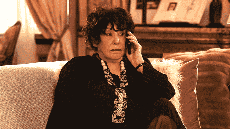 Who Plays Sylvie's Mother, Heloise, In Emily In Paris? Actress Details