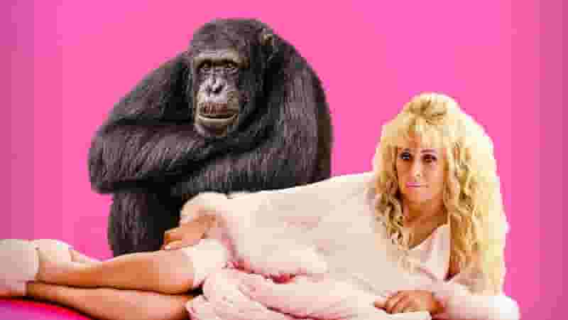 Chimp Crazy Documentary Episodes' Release Date Schedule on HBO (Confirmed)