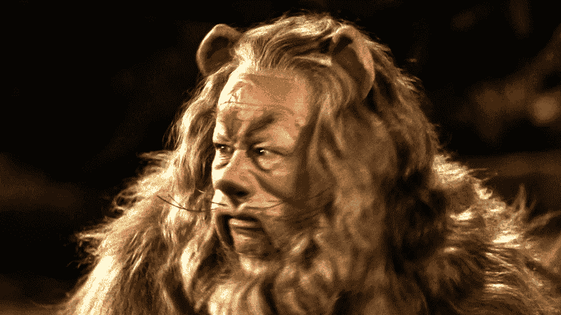 Full Cast of New Wicked Movie 2024 Cast & Characters List (Photos)