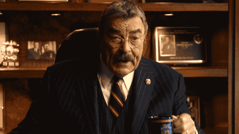 Full Cast of Blue Bloods Season 14 Episode 14: Guest Stars & Actors (Photos) - Lori Loughlin, Vanessa Ray & More