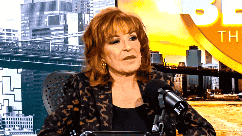Full Cast of The View 2024: Meet the Hosts (Photos)