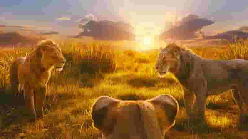 Disney Plus Starts Streaming Mufasa Special Ahead of Full Movie Release