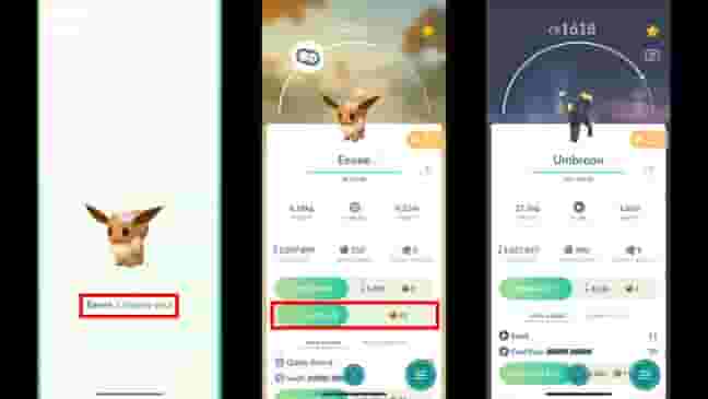 How to get Umbreon in Pokemon Go & can it be Shiny?