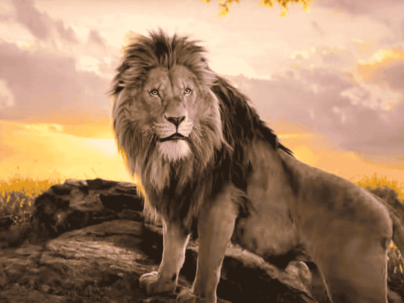 The Lion King Family Tree - Mufasa, Scar & Simba Relatives & All Connections