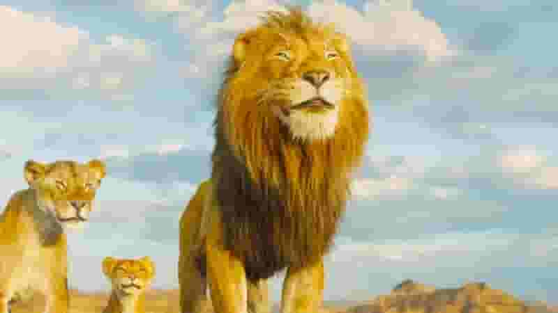 The Lion King Family Tree - Mufasa, Scar & Simba Relatives & All Connections