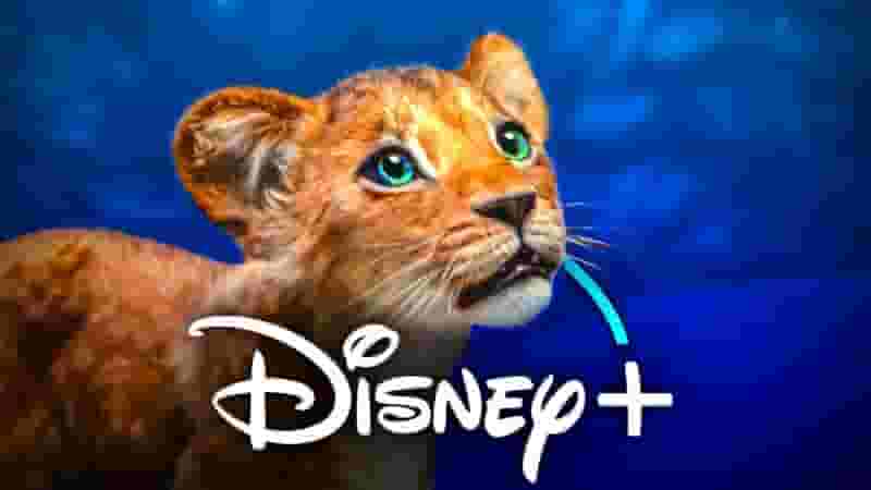 Disney Plus' Mufasa Streaming Release to Be Preceded By Lion King Special (Confirmed)