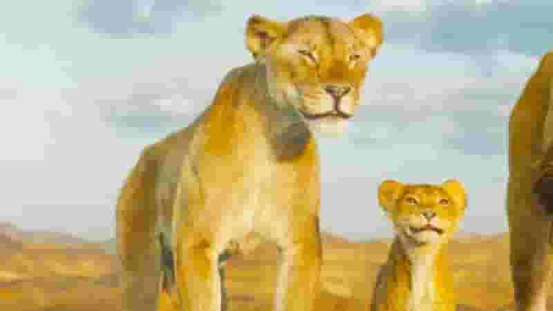 The Lion King Family Tree - Mufasa, Scar & Simba Relatives & All Connections