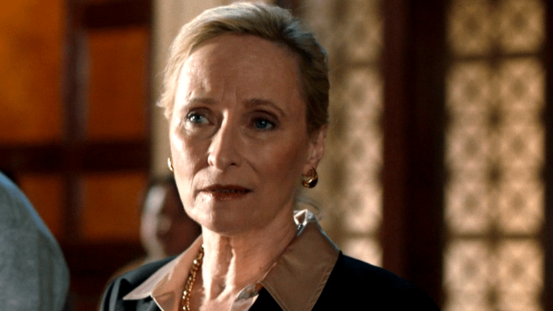 Full Cast of Law and Order Season 24 Episode 16 'Folk Hero': Every Guest Star (Photos)